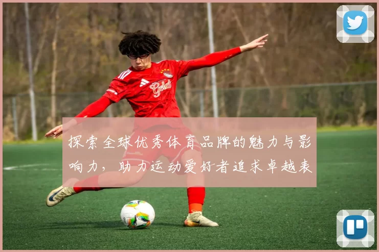 探索全球优秀体育品牌的魅力与影响力，助力运动爱好者追求卓越表现