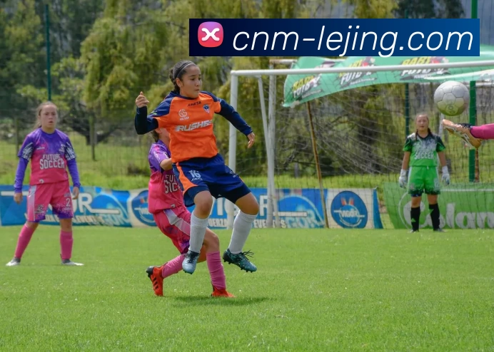 乐竞体育平台生态图